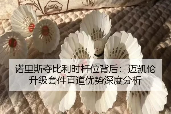nuo-li-si-duo-bi-li-shi-gan-wei-bei-hou-mai-kai-lun-sheng-ji-tao-jian-zhi-dao-you-shi-shen-du-fen-xi-2-474.jpg